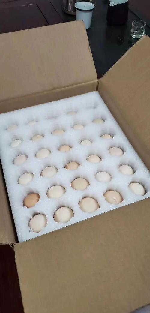EPE珍珠棉 新型环保包装材料全解析