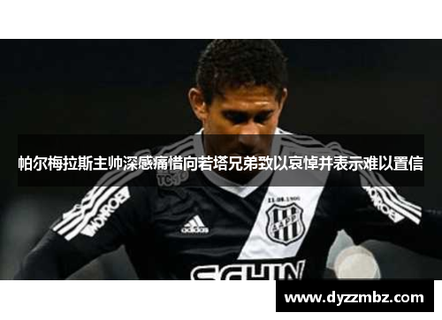 帕尔梅拉斯主帅深感痛惜向若塔兄弟致以哀悼并表示难以置信